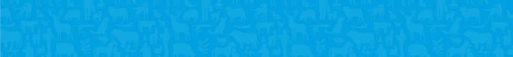1 banner v93