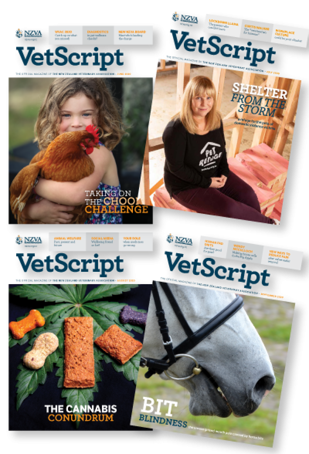 VetScript 400x
